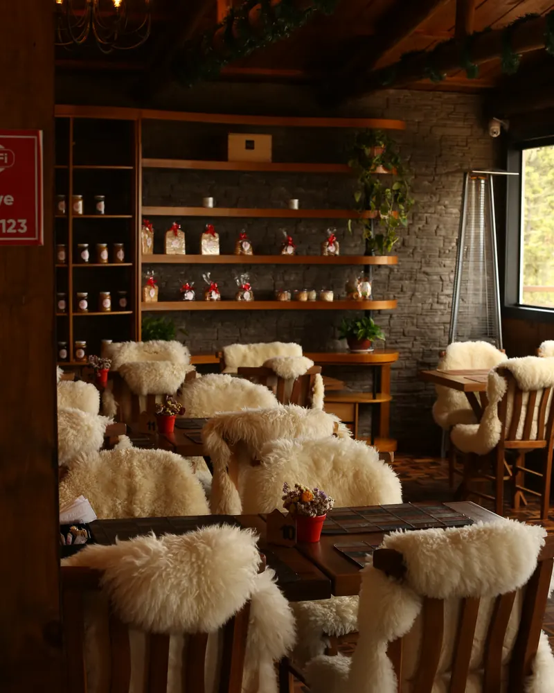 Salão do Mundo Neve com lustres, prateleiras e cadeiras cobertas de pelego.